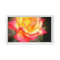 Rosa Climbing Charleston：Acrylic Tray