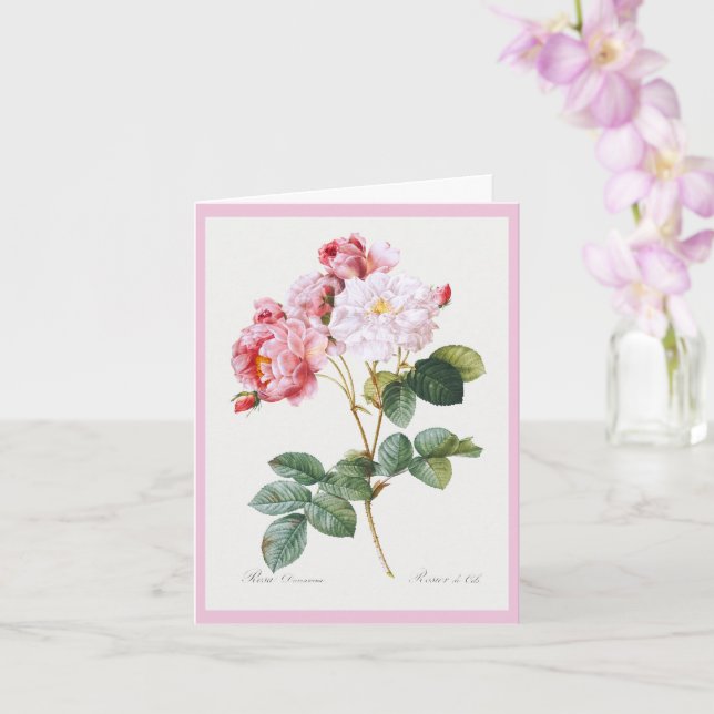 Rosa Damascena  , Happy Birthday Card (Orchid)