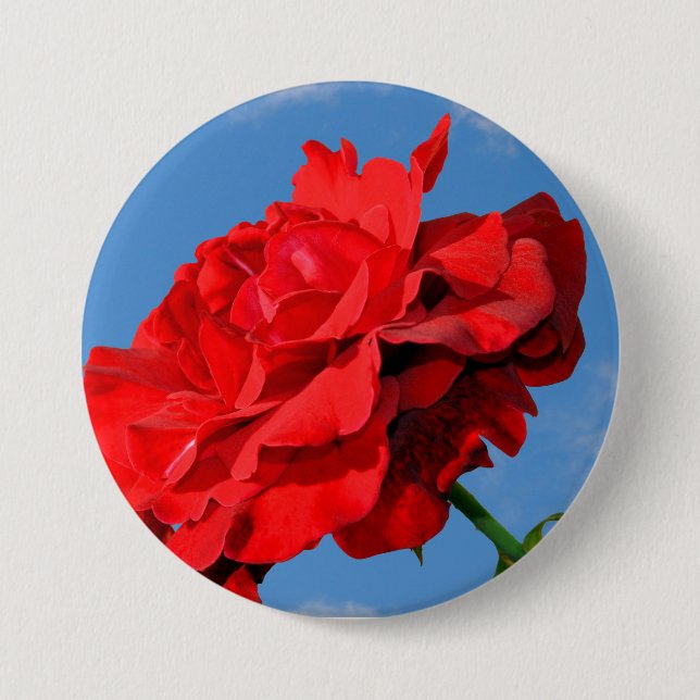 Rosa Don Juan rose with a blue sky  Button (Front)