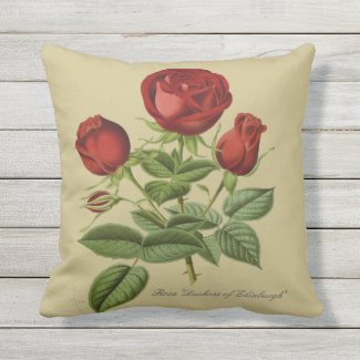 Rosa 'Duchess of Edinburgh' Outdoor Pillow 16x16