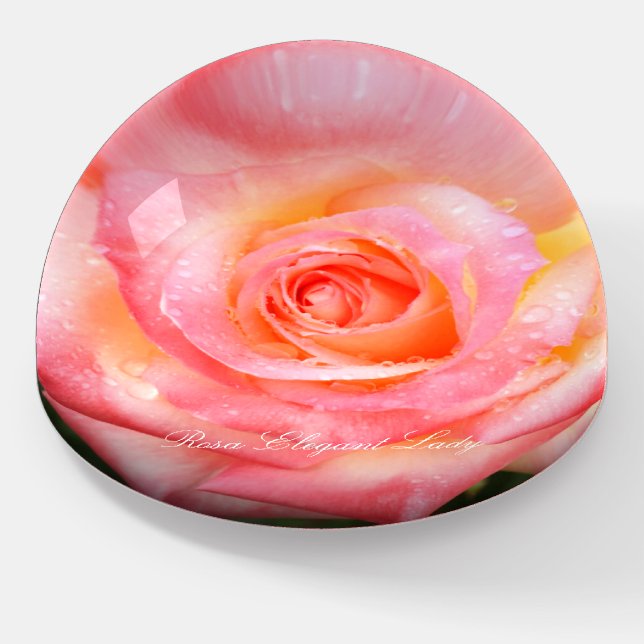 Rosa Elegant Lady [Glass Dome Paper Weight] Paperweight (Angled)