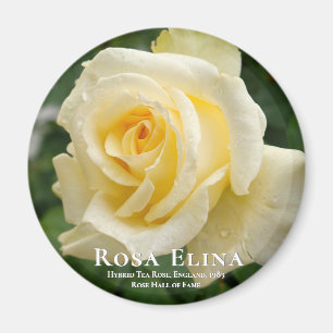 Rosa Elina Magnet