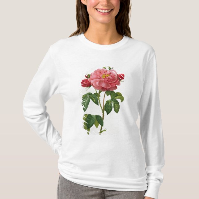 Rosa Gallica Aurelianensis T-Shirt (Front)