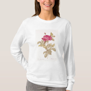Rosa Gallica Pontiana, from 'Les Roses' T-Shirt