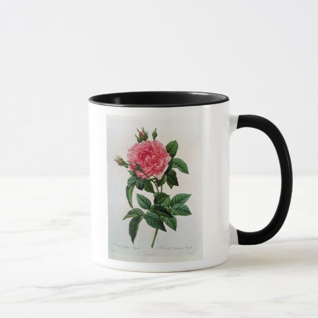 Rosa Gallica Regallis Mug (Right)