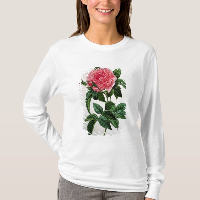 Rosa Gallica Regallis T-Shirt (Front)