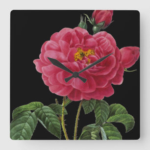 Rosa Gallica Square Wall Clock