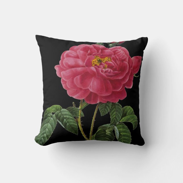 Rosa Gallica Throw Pillow (Front)