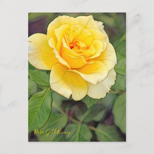 Rosa Gold Bunny Postcard (Front)