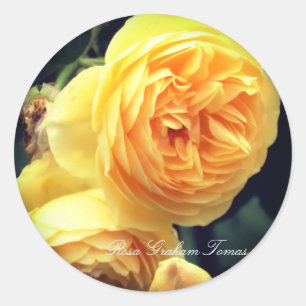Rosa Graham Thomas Classic Round Sticker