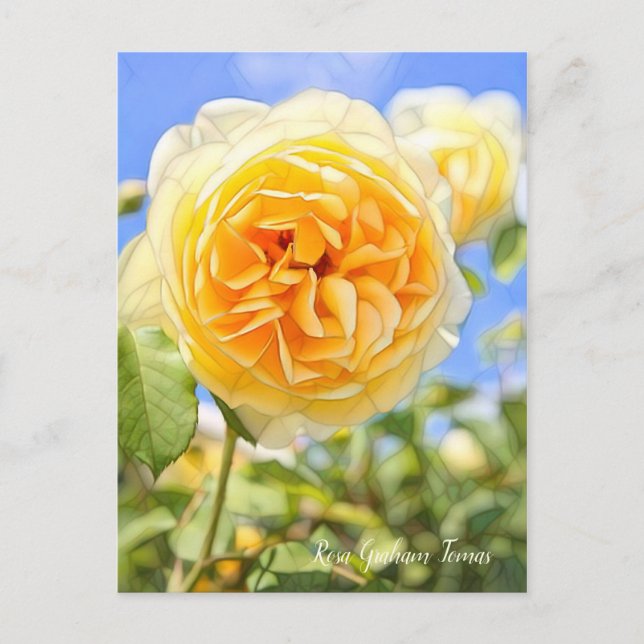 Rosa Graham Tomas Postcard (Front)