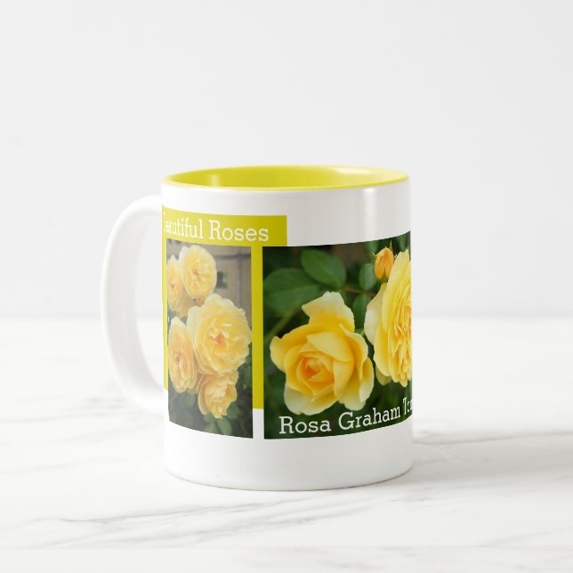 Rosa Graham Tomas：Two‐tone Mug (Front Left)