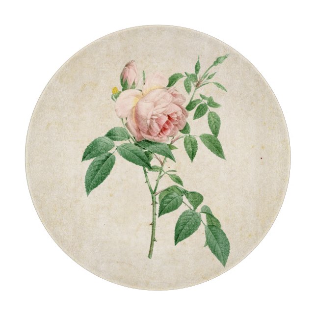 Rosa indica fragrans botanical illustration cutting board (Front)