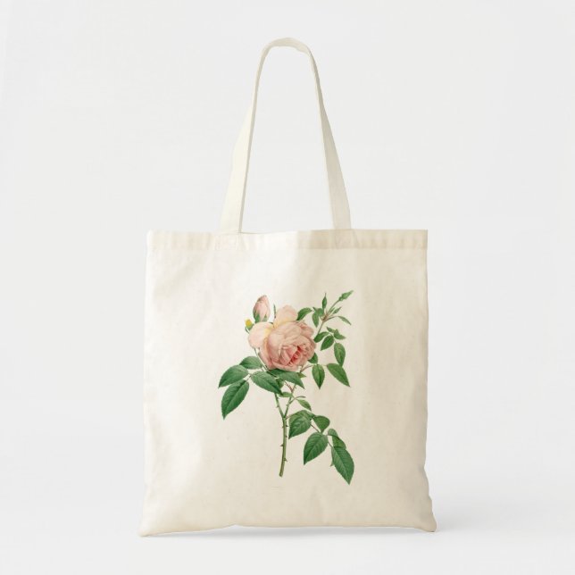 Rosa indica fragrans botanical illustration tote bag (Front)