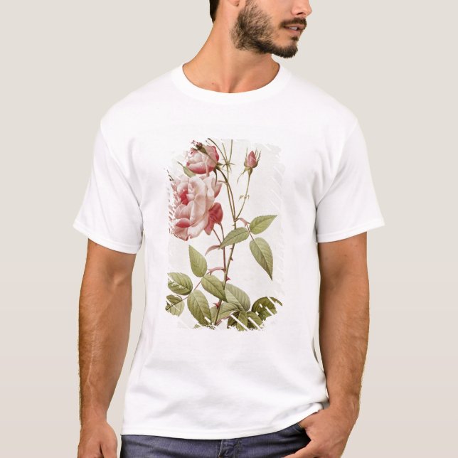 Rosa Indica Vulgaris, from 'Les Roses' T-Shirt (Front)