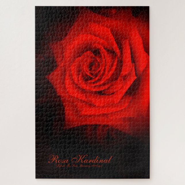 Rosa Kardinal [Jigsaw puzzle(1014 piece)] Jigsaw Puzzle (Vertical)