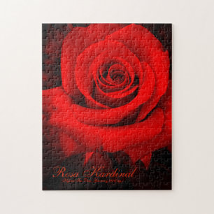 Rosa Kardinal [Jigsaw puzzle(252 piece)] Jigsaw Puzzle