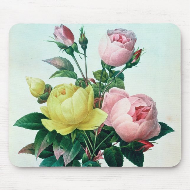 Rosa Lutea and Rosa Indica Mouse Pad (Front)