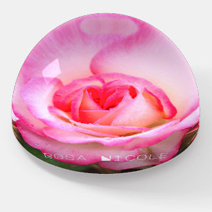 Rosa Nicole [Glass Dome Paper Weight] ペーパーウェイト Paperweight
