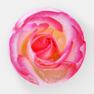 Rosa Nicole [Glass Dome Paper Weight] Paperweight