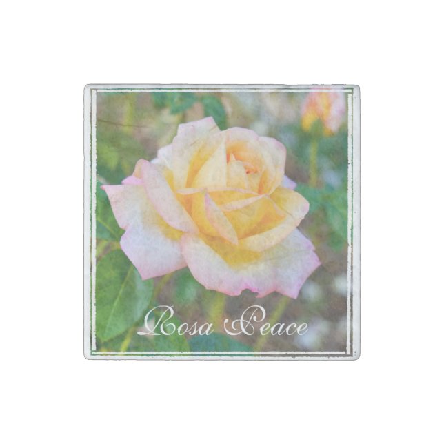 Rosa Peace MAGNET (Front)