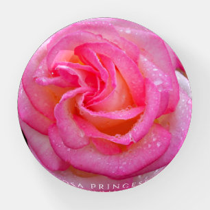 Rosa Princesse de Monaco Paperweight
