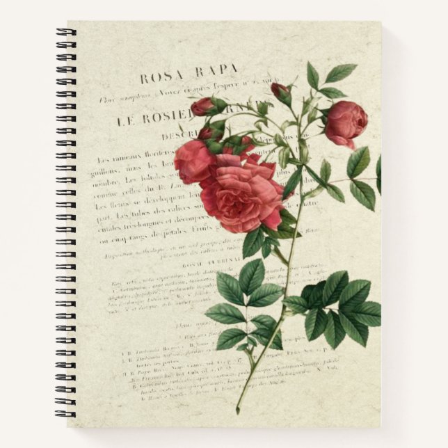 Rosa Rapa Vintage Notebook (Front)
