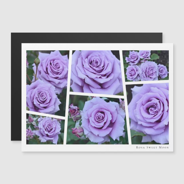 Rosa Sweet Moon (Front/Back)