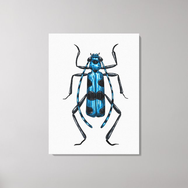 Rosalia Alpina beetle Canvas Print (Front)