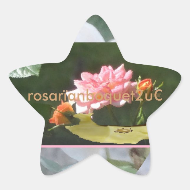 rosarïanboquet2u¤ star sticker (Front)