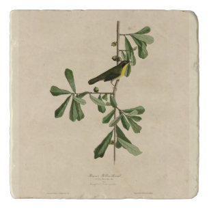Roscoe's Yellow-throat, Audubon's Birds of America Trivet