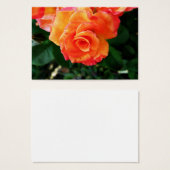 rose (Front & Back)