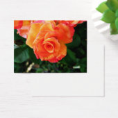 rose (Desk)
