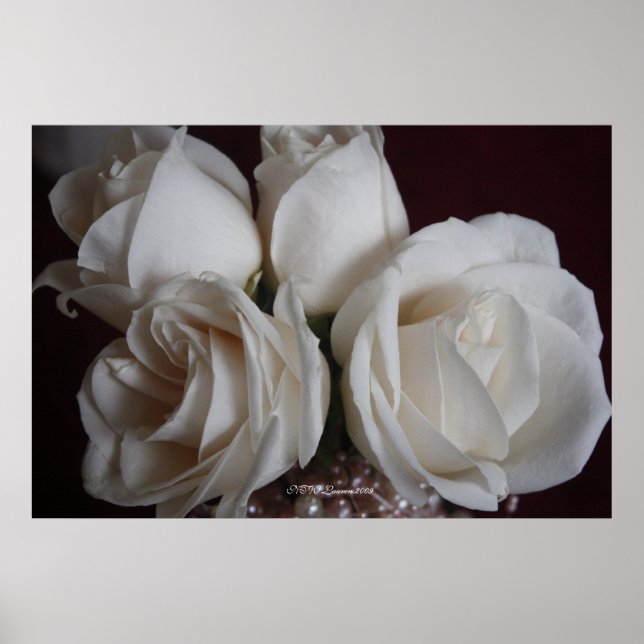 Rose 15 poster (Front)