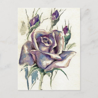 Rose 3 postcard