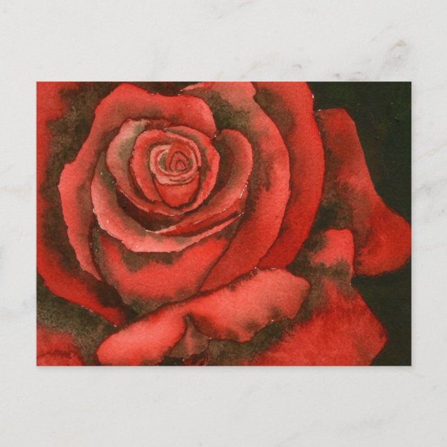 Rose 3 Postcard (Front)