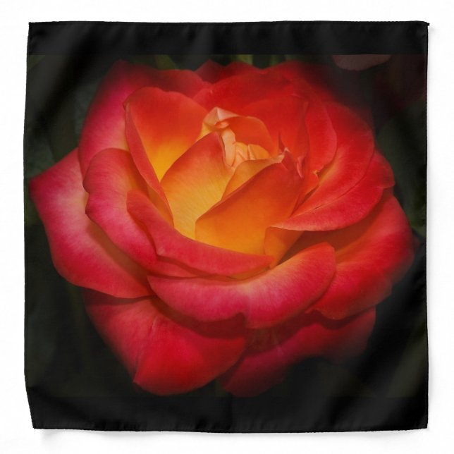 Rose Aflame Bandana (Front)