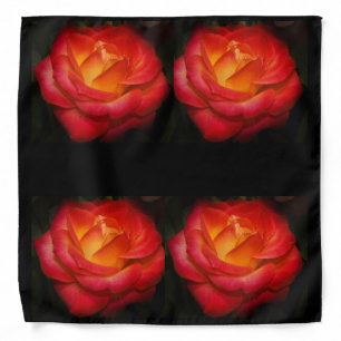Rose Aflame X 4 Bandana