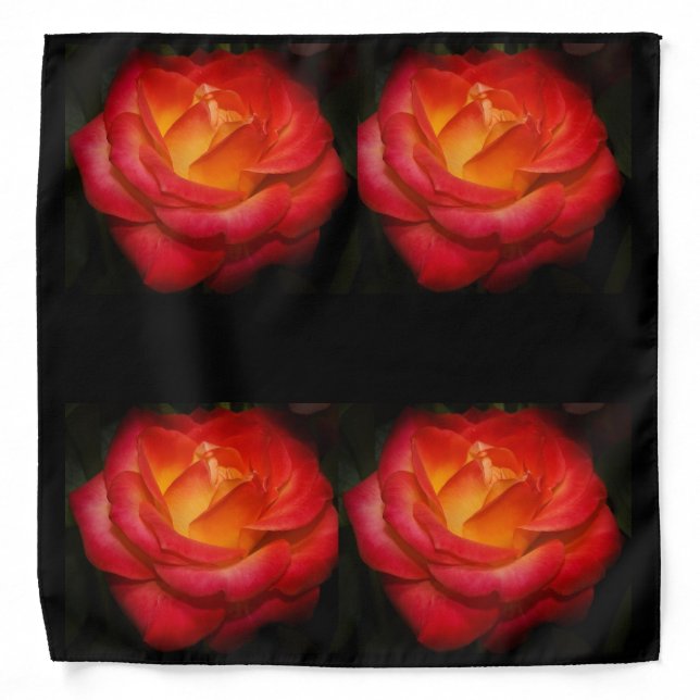 Rose Aflame X 4 Bandana (Front)