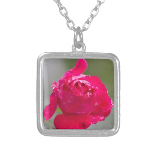 rose after the rain in the garden silver plated ne silver plated necklace