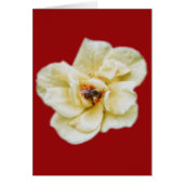 Rose and Bee (Front)