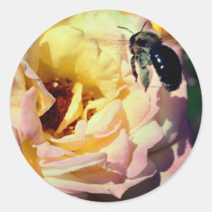 Rose And Bumble Bee Flower Classic Round Sticker