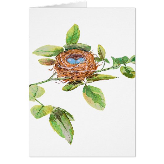 Rose and Bunting Cards (Front)