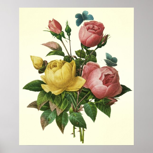 Rose and Butterfly Bouquet, Pierre Redoute Poster (Front)