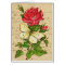 Rose and Butterfly Note