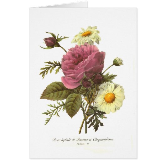 Rose and Chrysanthemum Cards (Front)