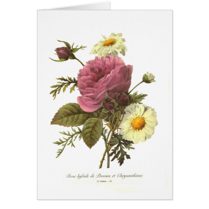 Rose and Chrysanthemum Cards