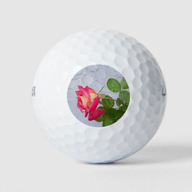 Rose and gray stucco wall golf balls (Front)