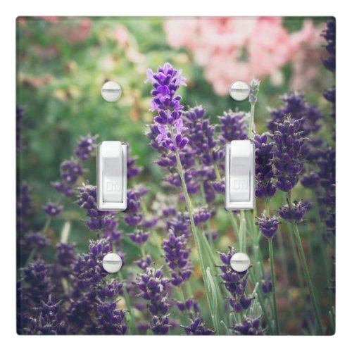 Rose and lavender blossom from Provence garden  Light Switch Cover