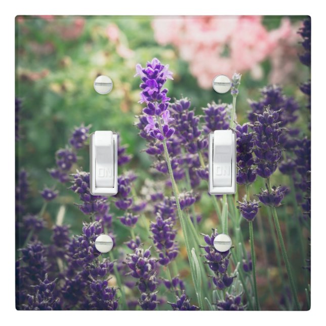 Rose and lavender blossom from Provence garden  Light Switch Cover (In Situ)